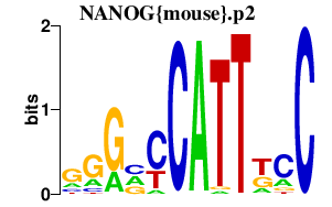 logo of NANOG{mouse}.p2